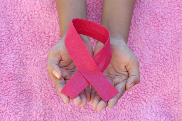 Genetic test urged for women with family history of cancer